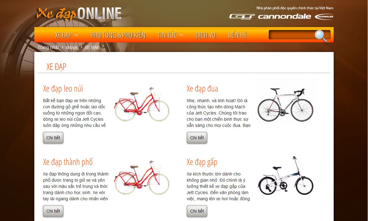 Thiết kế web giá rẻ