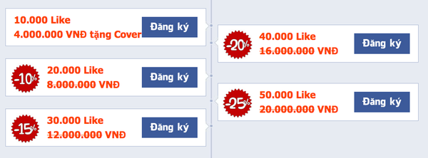 Kiếm hàng chục triệu đồng từ việc câu like Facebook