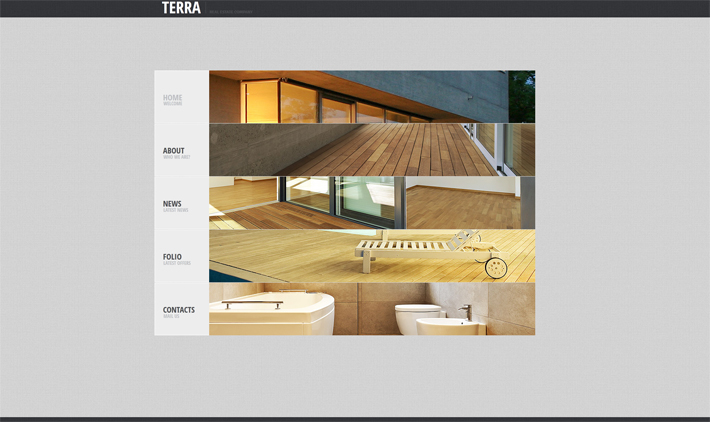 Real Estate Website Design