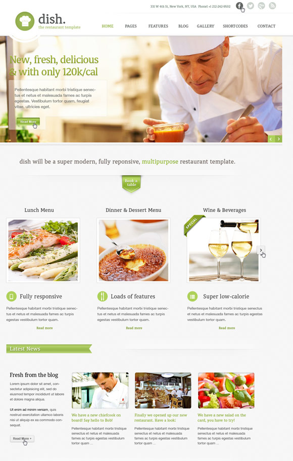 Dish WordPress Theme Themeforest
