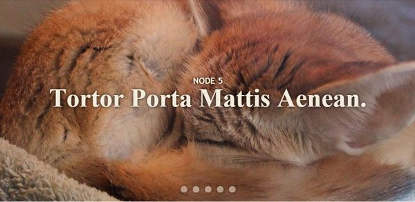 20+ Rotator/Slider jQuery Plugin miễn phí cho website (P.1)