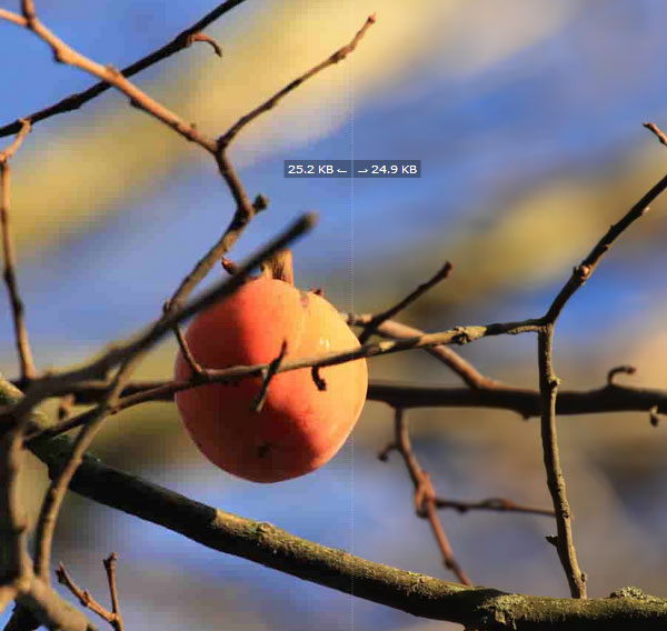 định dạng chất lượng mới cho hình ảnh website 7