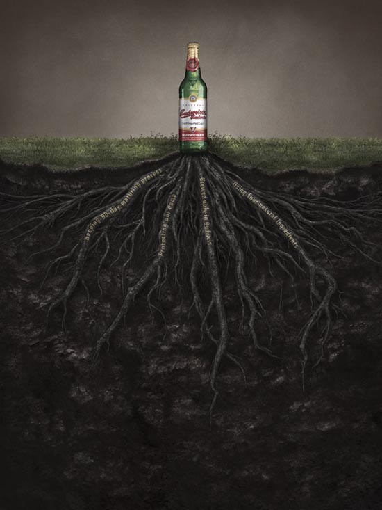 chup anh san pham 23