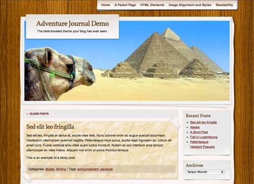 thiet ke web wordpress theme 13