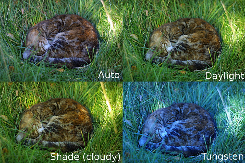 Meo chup anh san pham dep - White Balance