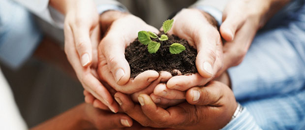 giới thiệu sản phẩm sinh động