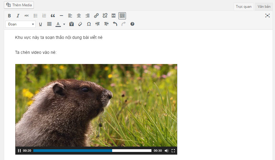 Chèn video thành công