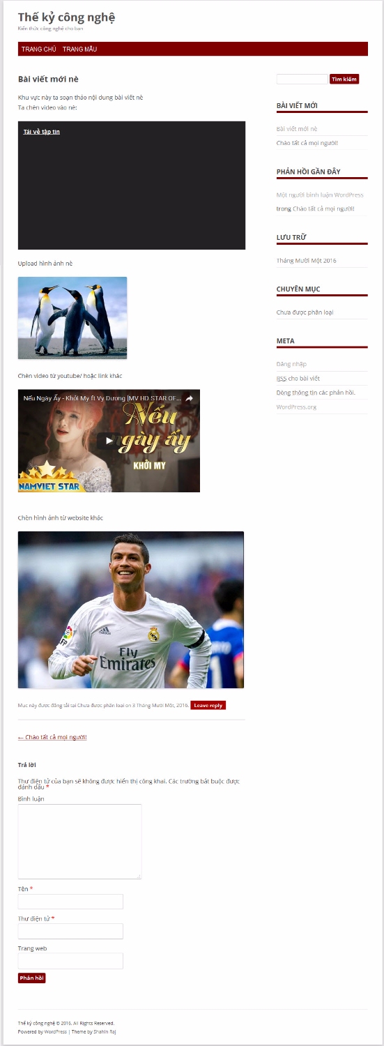 Giao diện mẫu wp