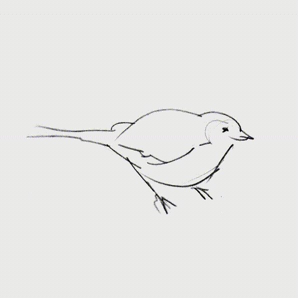 về bản thiết kế logo Twitter