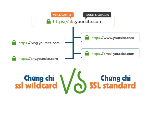 Hiểu biết quan trọng! điểm khác nhau giữa chứng chỉ ssl wildcard vs chứng chỉ SSL standard