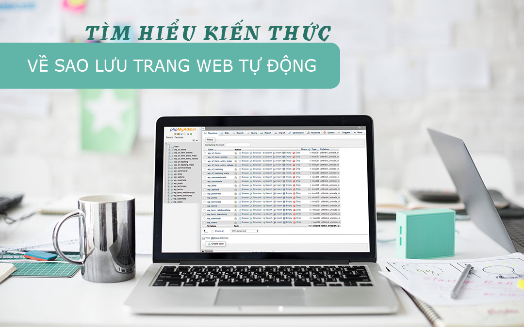 Tìm hiểu kiến thức về sao lưu trang web tự động