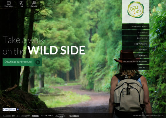 30 Stunning Website Designs Inspired by Nature and Landscapes