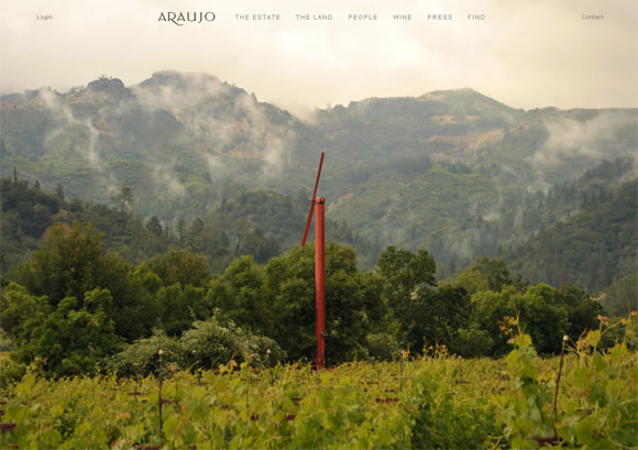 30 Stunning Website Designs Inspired by Nature and Landscapes